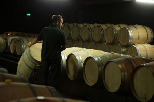A quoi sert le fût de chêne ? 