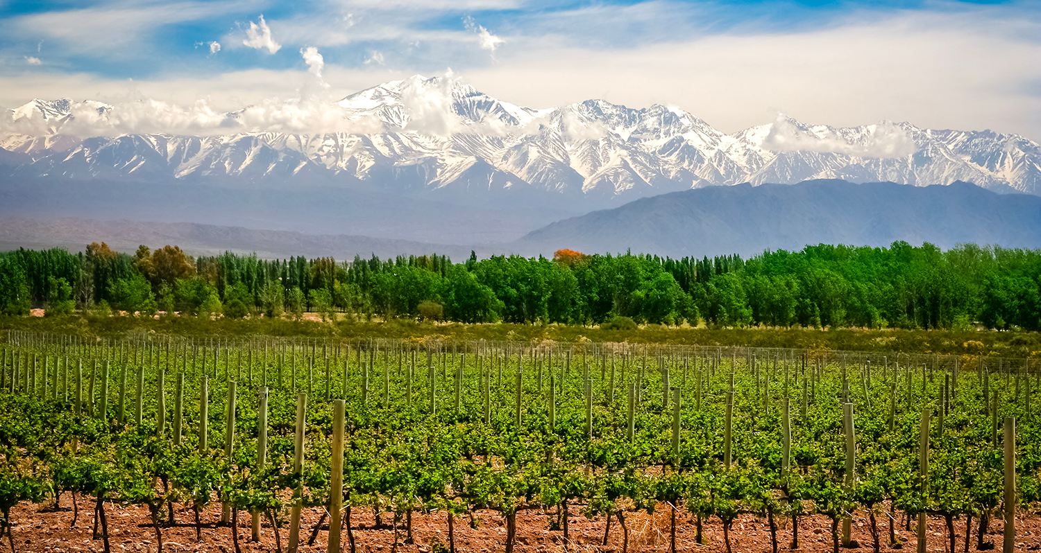 Vins d'Argentine