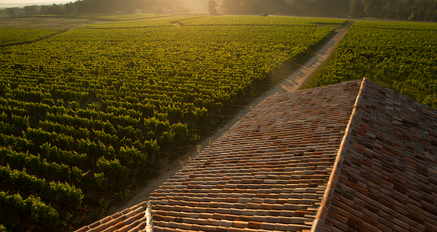 Les grandes Maisons du vignoble