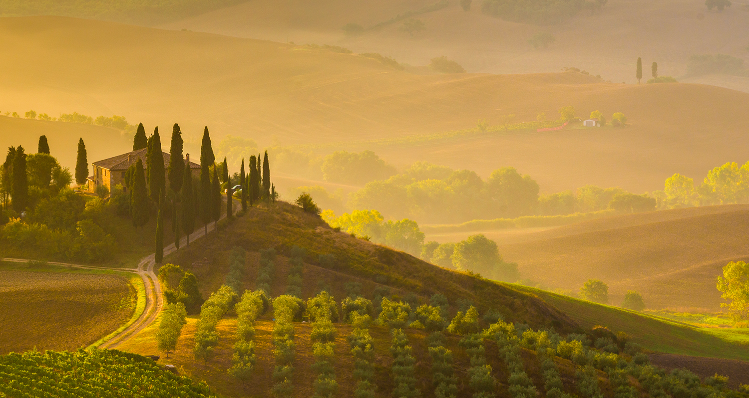 Vins d'Italie