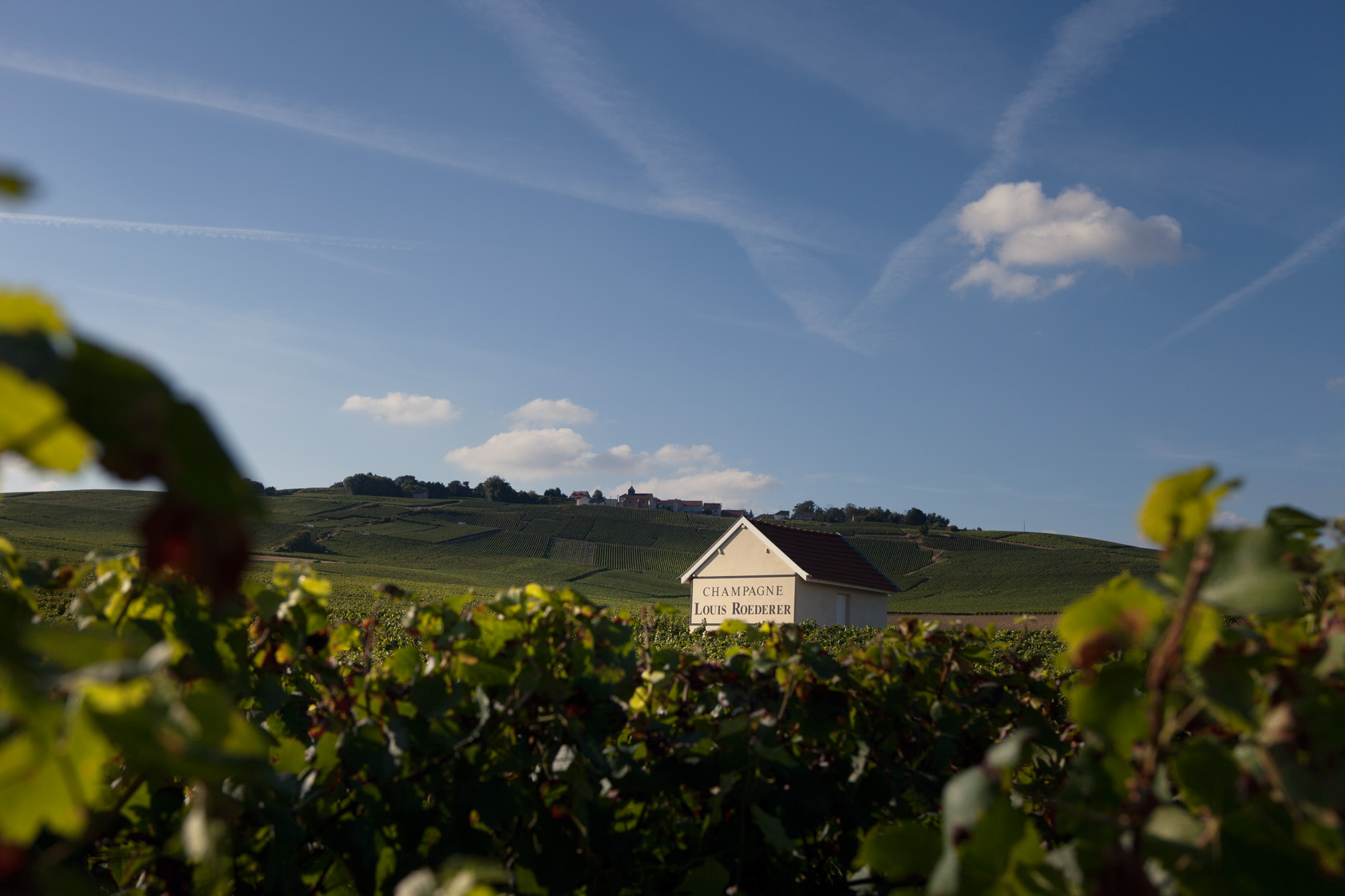 Champagne Louis Roederer 