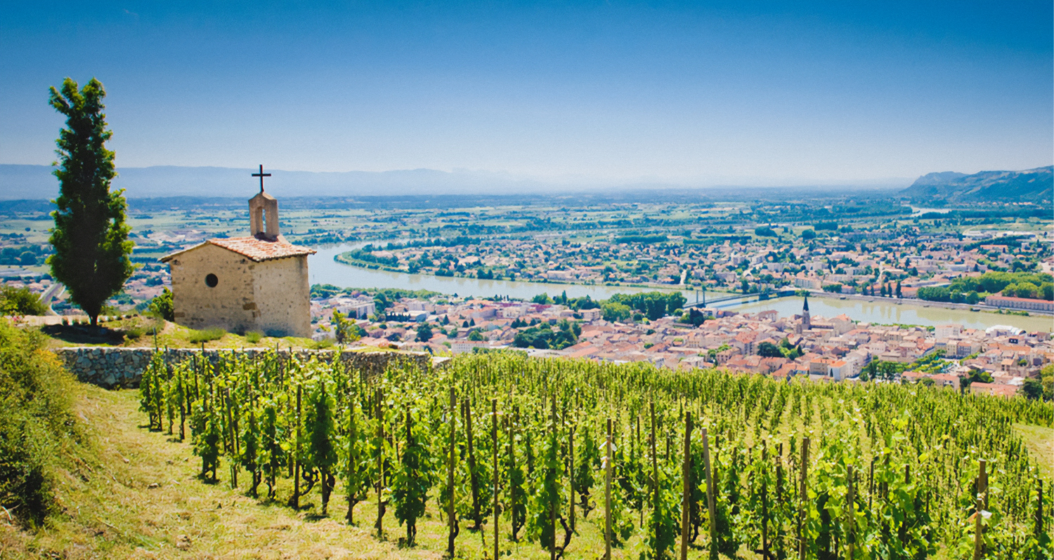 Vins du Rhône