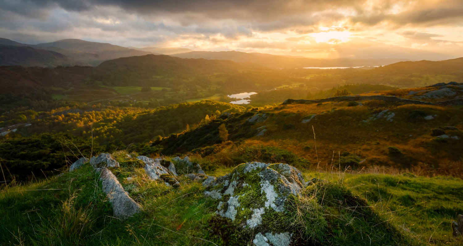 Whiskies Irlandais