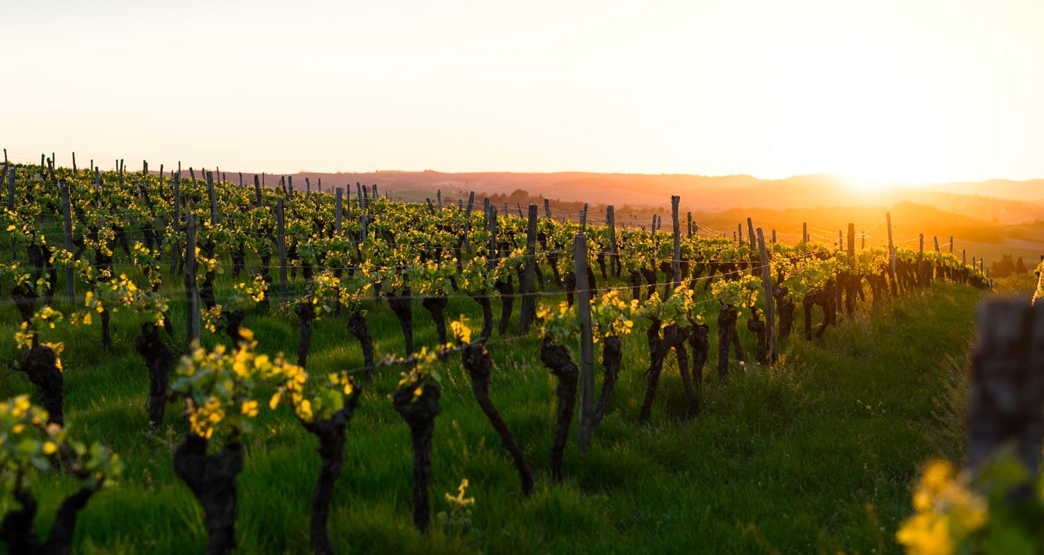 Languedoc-Roussillon