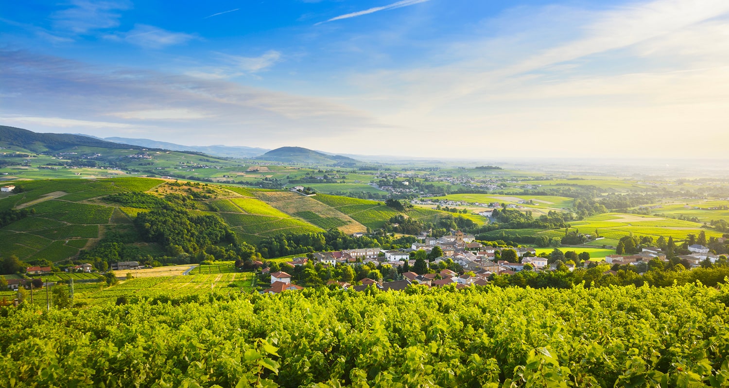 Nos Rhônes du moment 