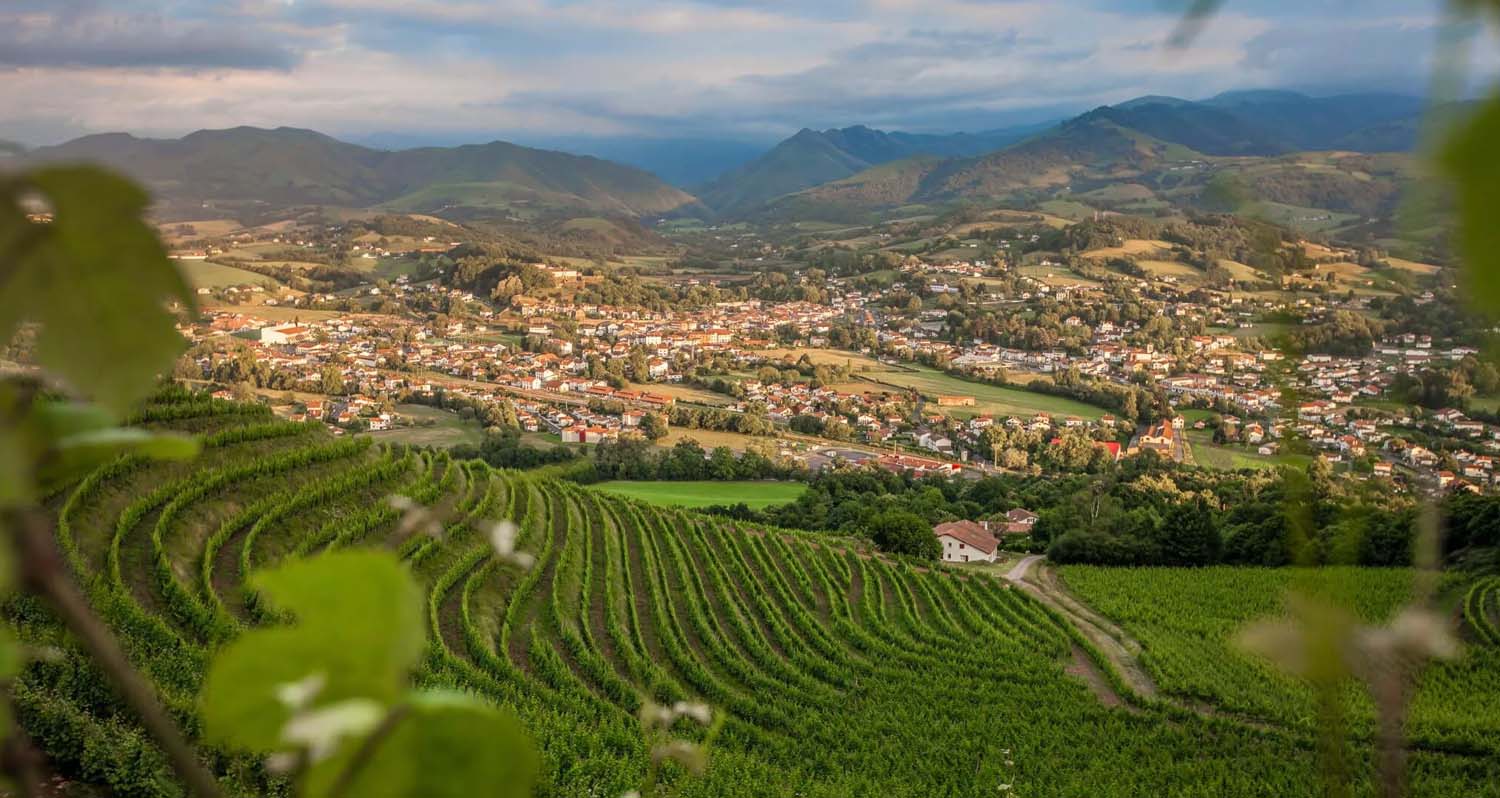 Vins du Sud-Ouest