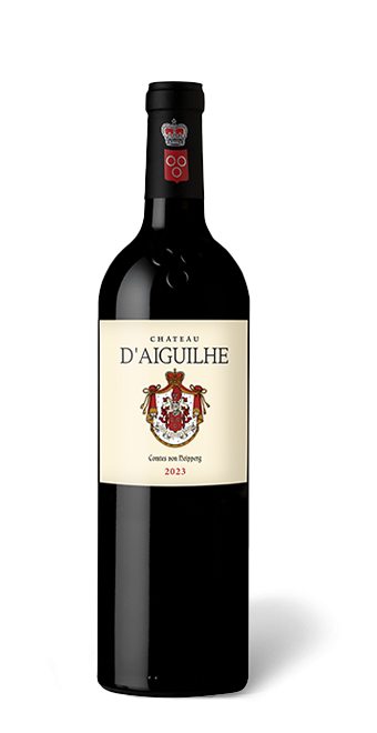 Château d&#039;Aiguilhe