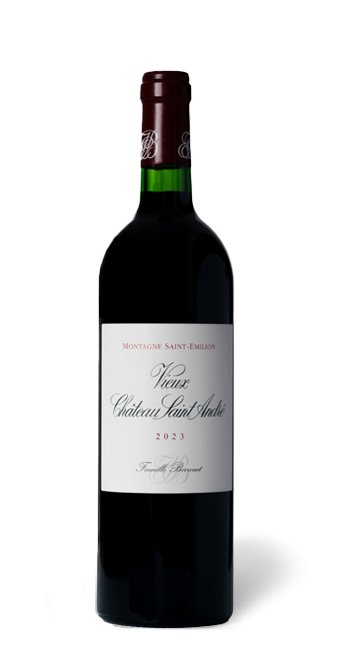 Vieux Château Saint-André