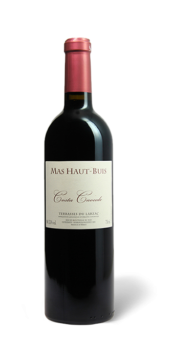Mas Haut-Buis