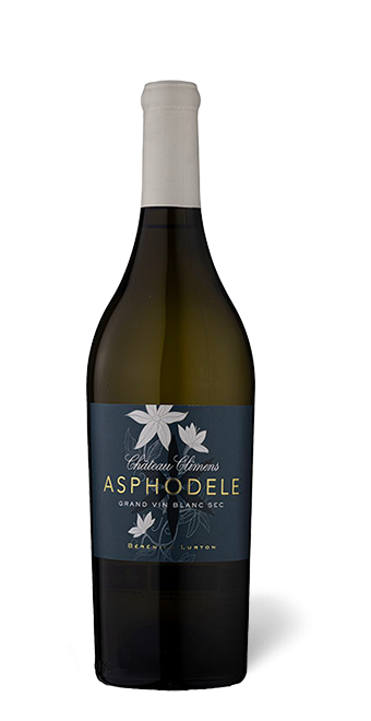 Asphodèle du Château Climens