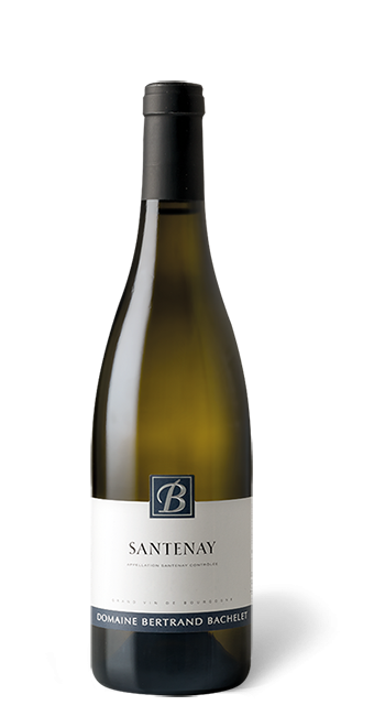 Domaine Bertrand Bachelet
