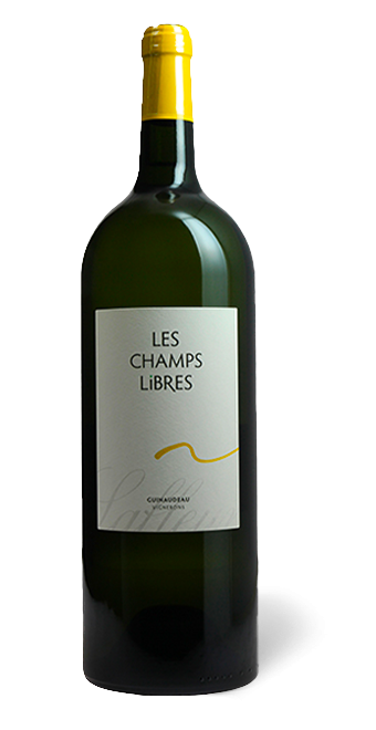 Les Champs Libres