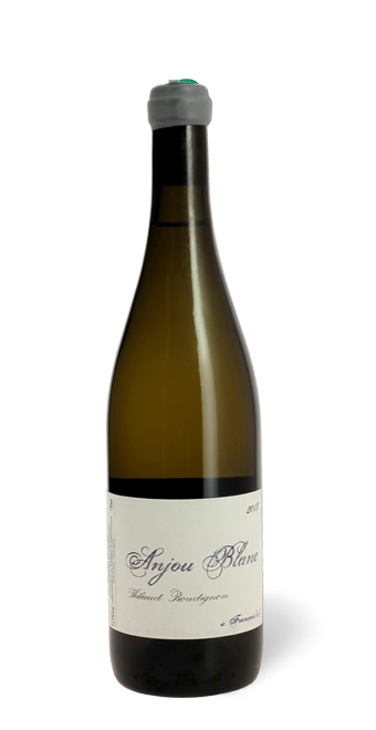 Domaine Thibaud Boudignon