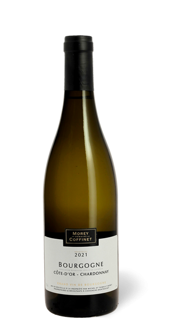 Morey Coffinet