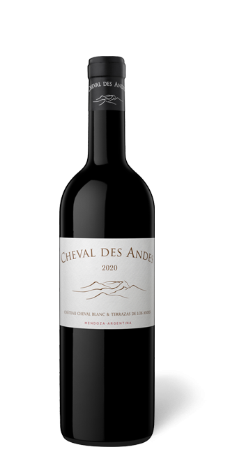 Cheval des Andes