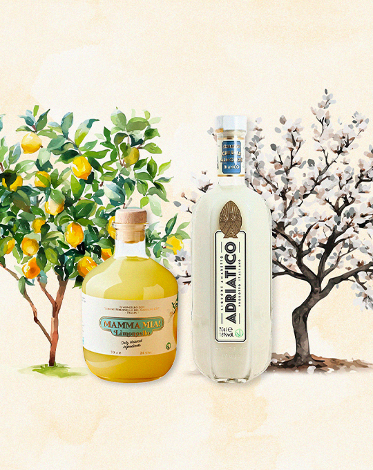 Mamma Mia & Adriatico